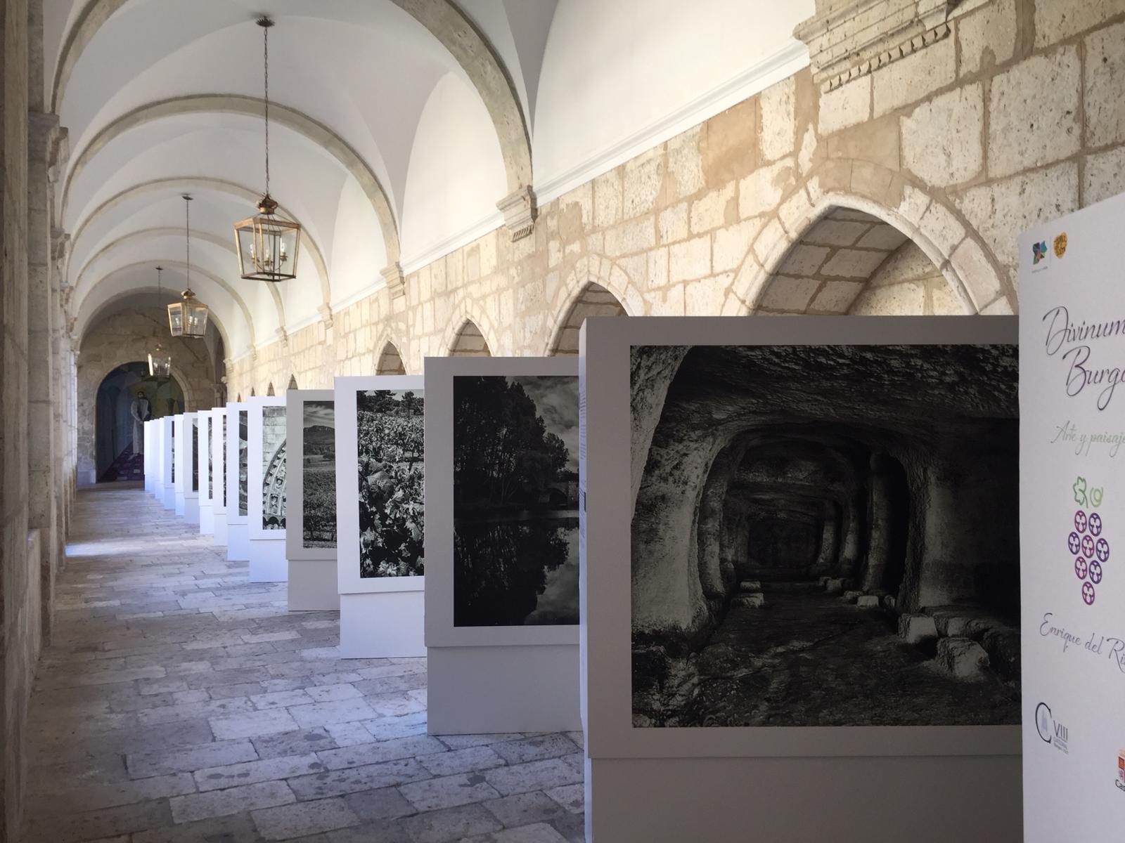 Traslado fotográfico en el Monasterio de la Santa Espina